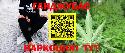 прущие грибы Тверь