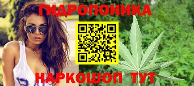 прущие грибы Тверь