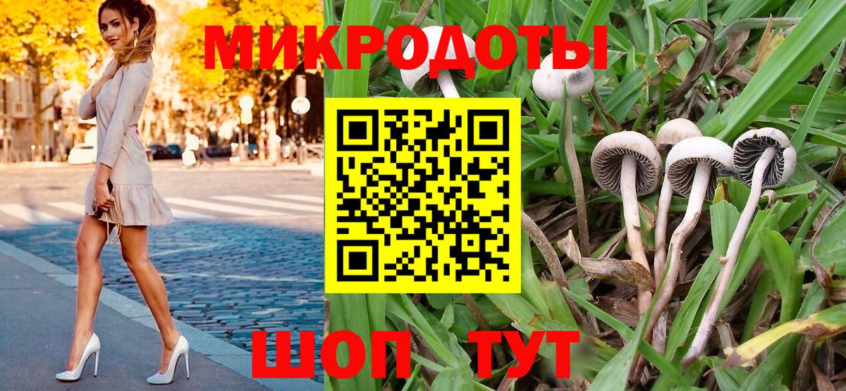 Анжеро-Судженск  Псилоцибиновые грибы мухоморы  Вход с VPN 