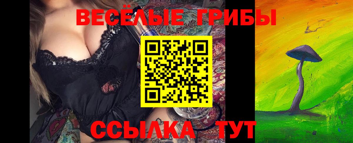 Галлюциногенные грибы Cubensis Анжеро-Судженск